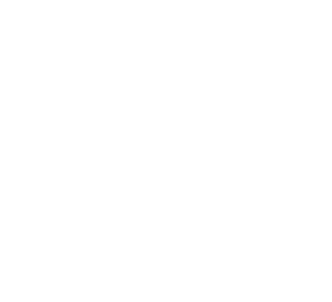 BearBrick