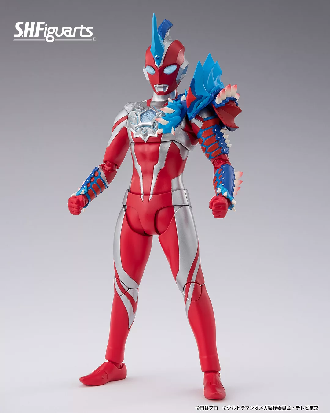 538162839_1190534483109671_3680664611913467661_n