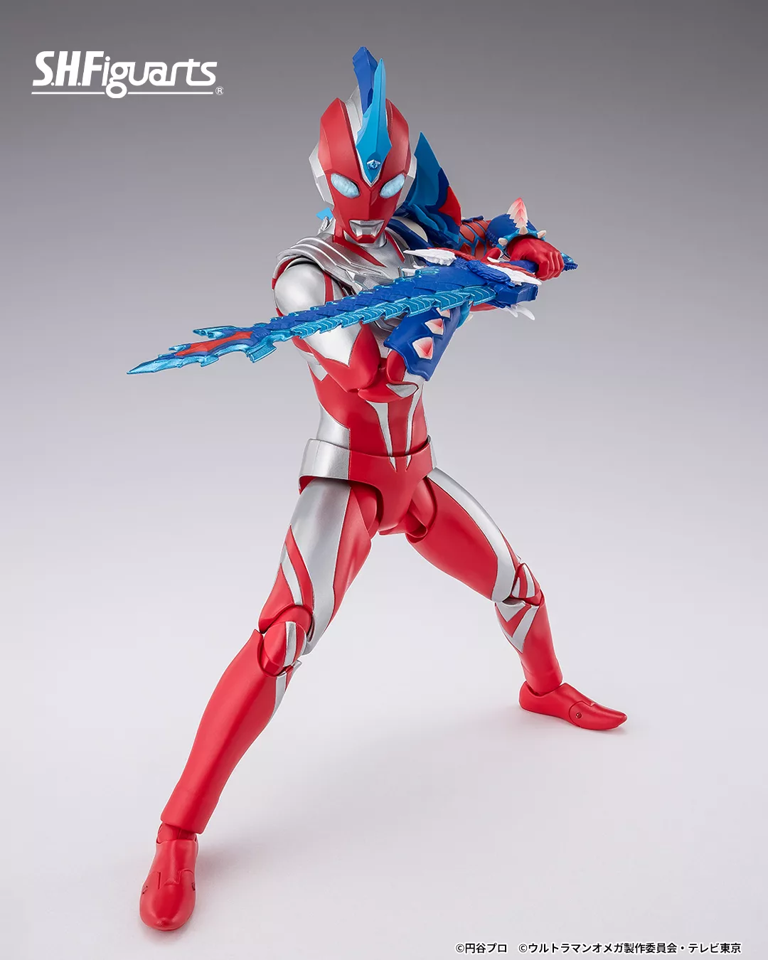 538987933_1190534489776337_6142846606765572089_n