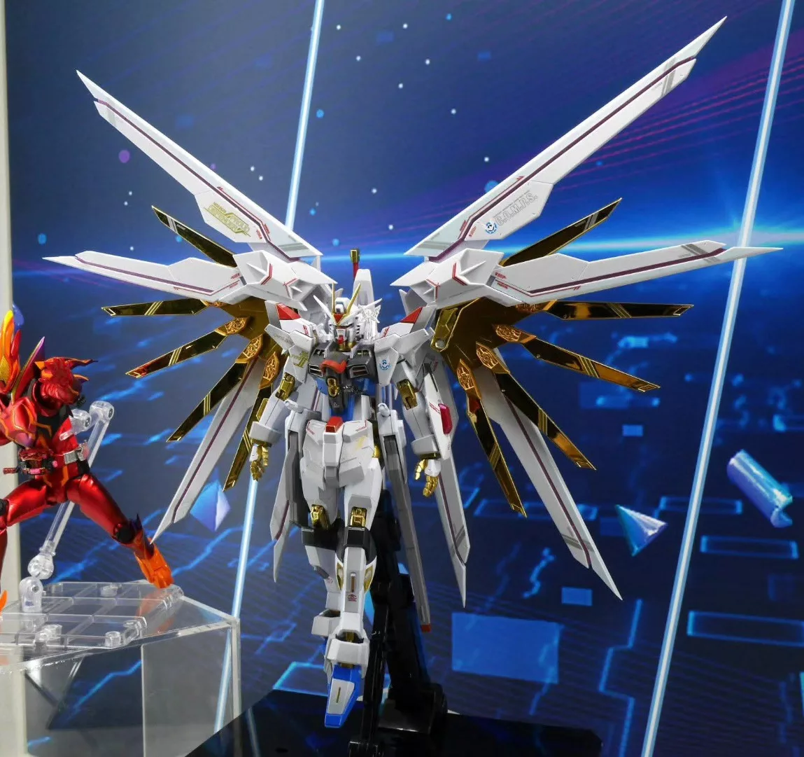 556375356_1372091994923290_1966944522077947353_n