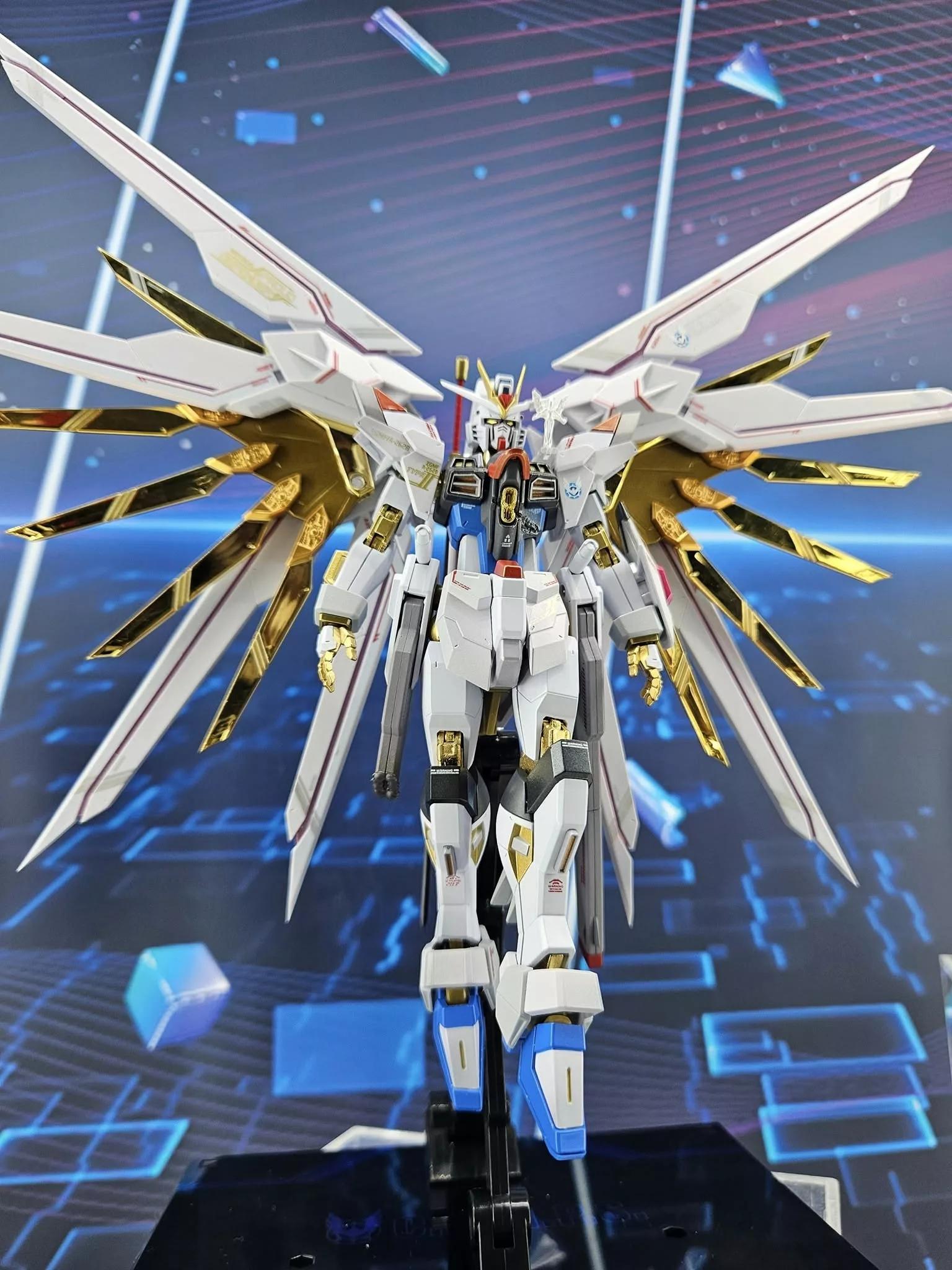 557926396_1355392109280848_4727973070834352618_n