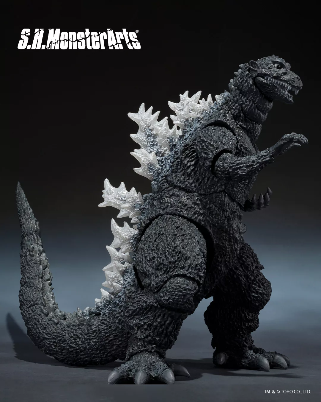 571362496_1247502054079580_3281372266914777456_n