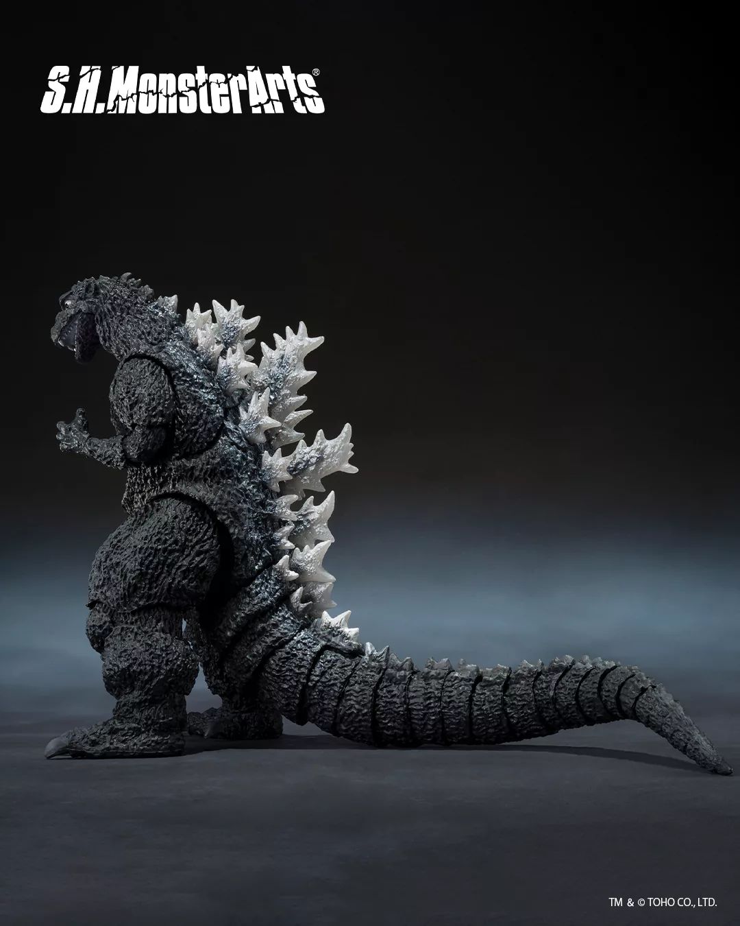 574878640_1247502030746249_6061807261315242143_n