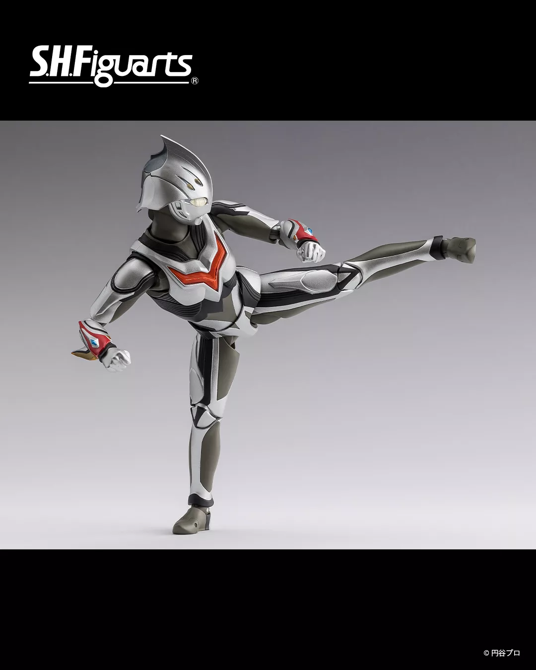 561360957_1252937800202672_7731327054307499174_n