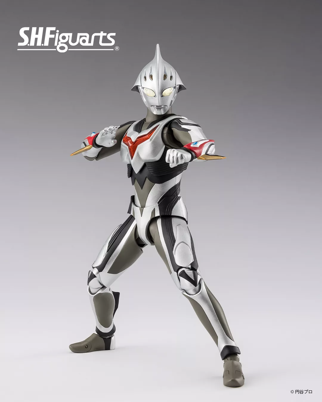 577320895_1252937770202675_3904852285467212179_n