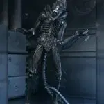 Neca - Ultimate Aliens Warrior Xenomorph 40th Anniversary - Black - Aliens : 1986 - NEC51796 - Action Figure